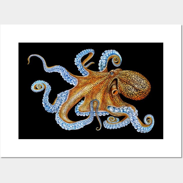 Octopus Wall Art by Tim Jeffs Art